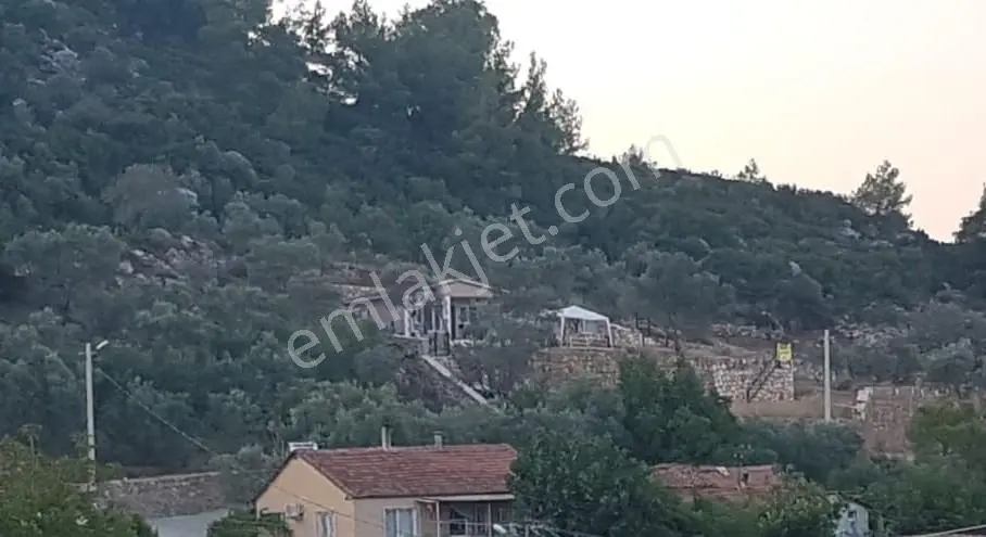 Menderes Çile Mah. Elektrik Suyu Mevcut 390m2 Zeytinlik — fotoğraf 4