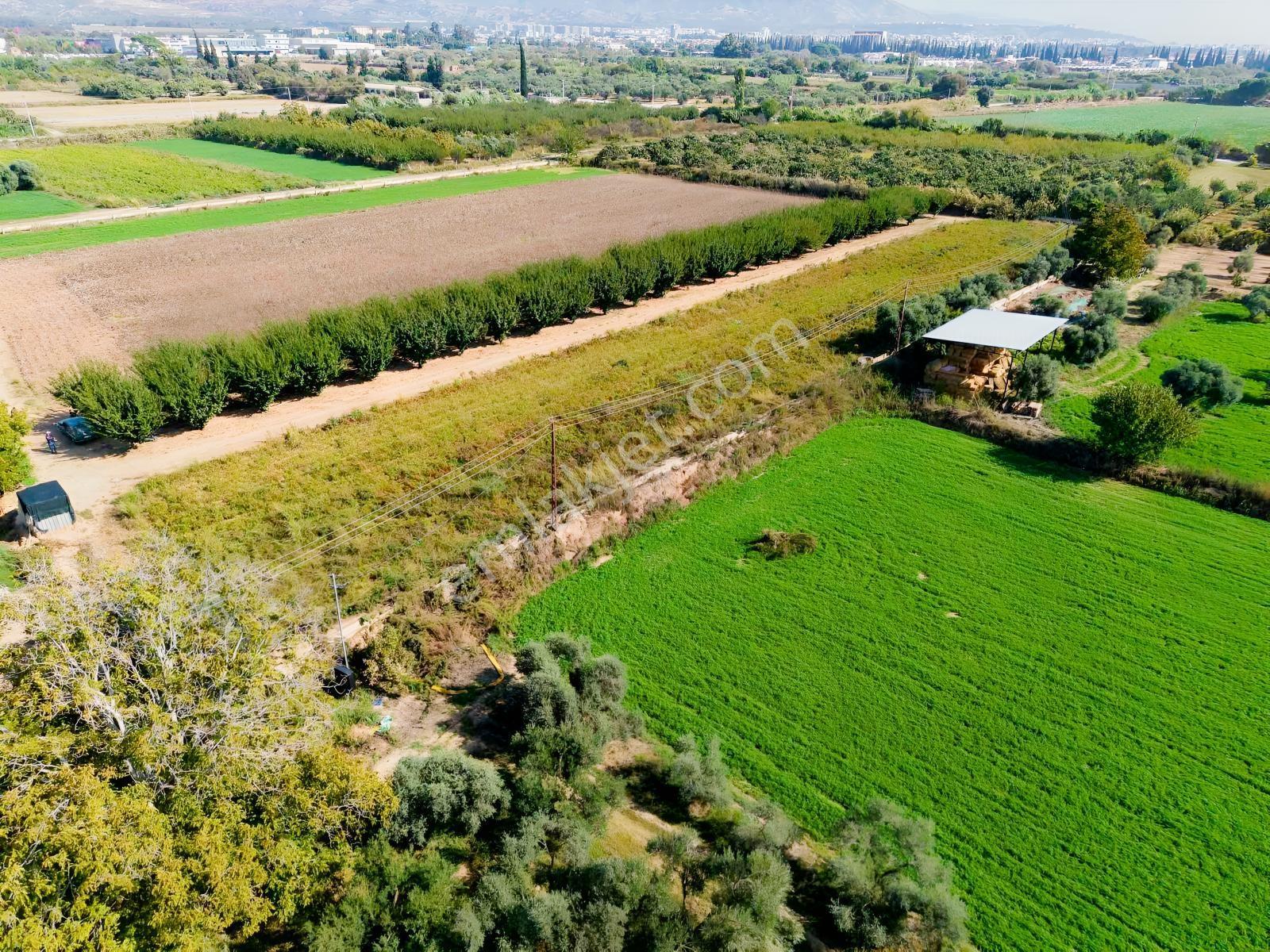 Aydın Efeler Kuyulu Mahallesinde Satılık Tarla — fotoğraf 2