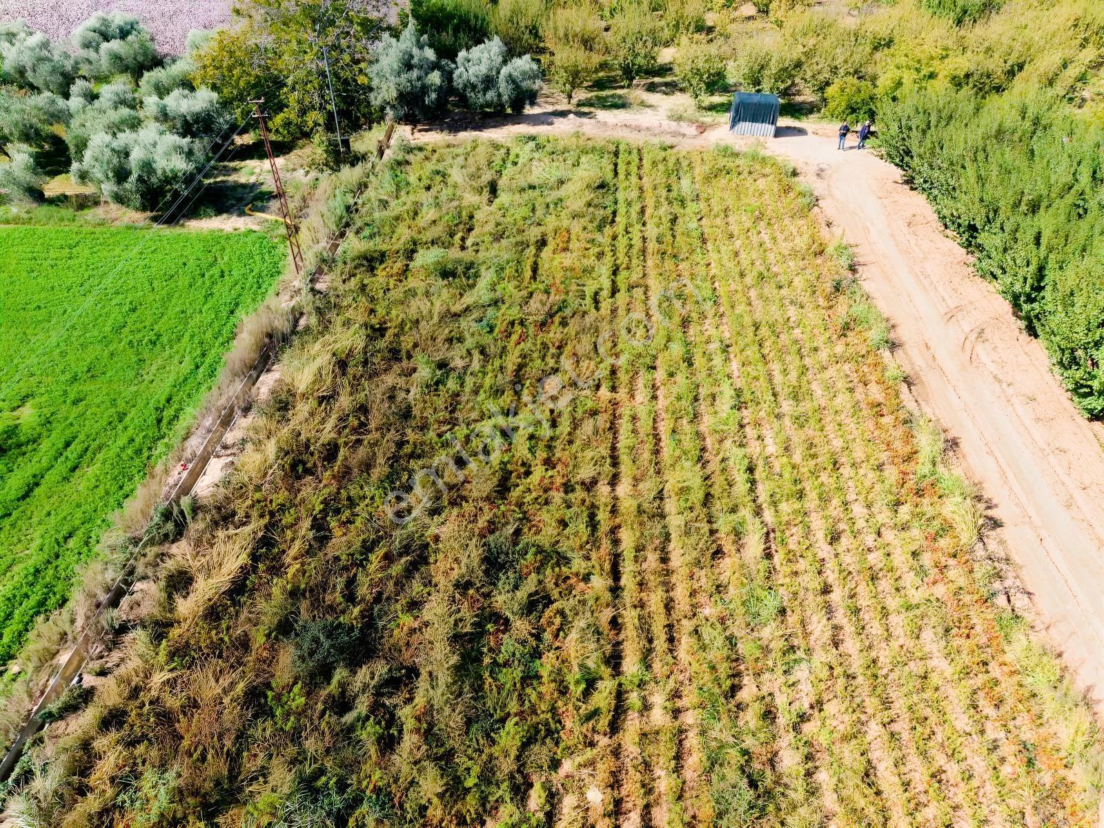 Aydın Efeler Kuyulu Mahallesinde Satılık Tarla — fotoğraf 8