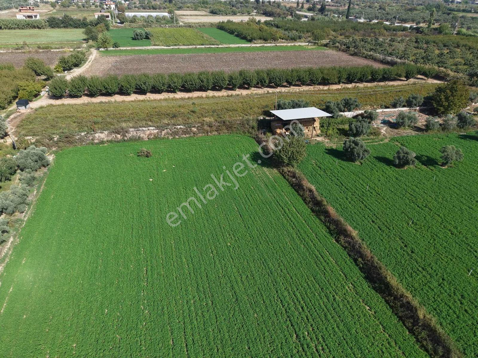 Aydın Efeler Kuyulu Mahallesinde Satılık Tarla — fotoğraf 10