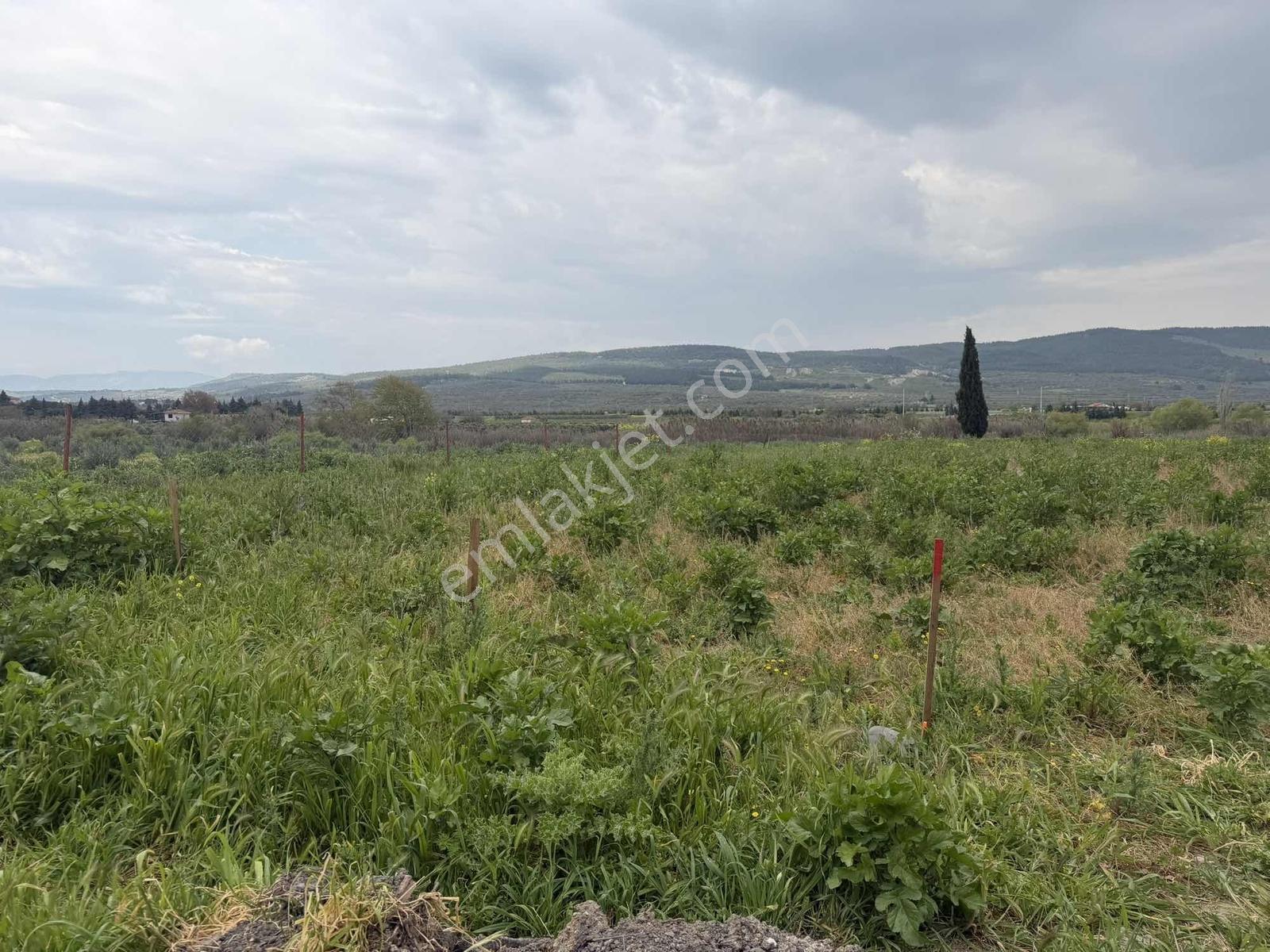 Manisa / Gelenbede Satılık İmarlı Arsa Yatırımlık Fırsat! — fotoğraf 7