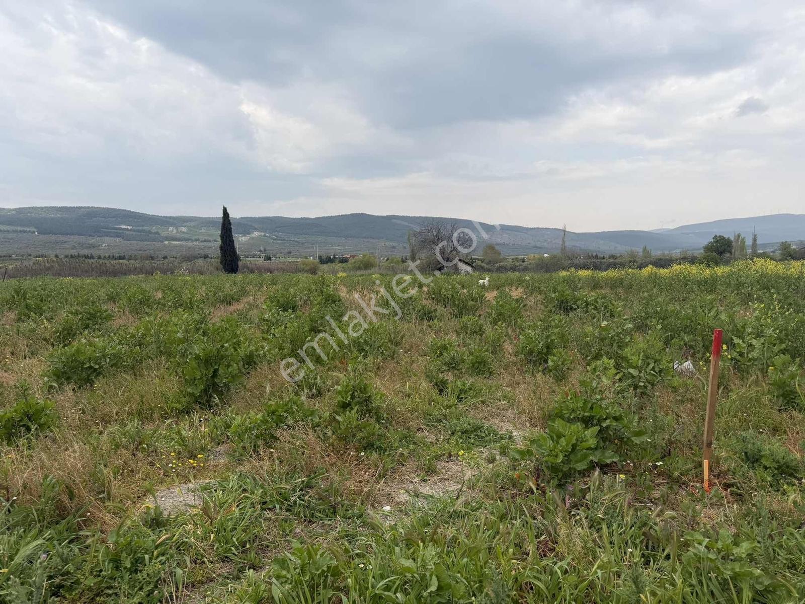 Manisa / Gelenbede Satılık İmarlı Arsa Yatırımlık Fırsat! — fotoğraf 8