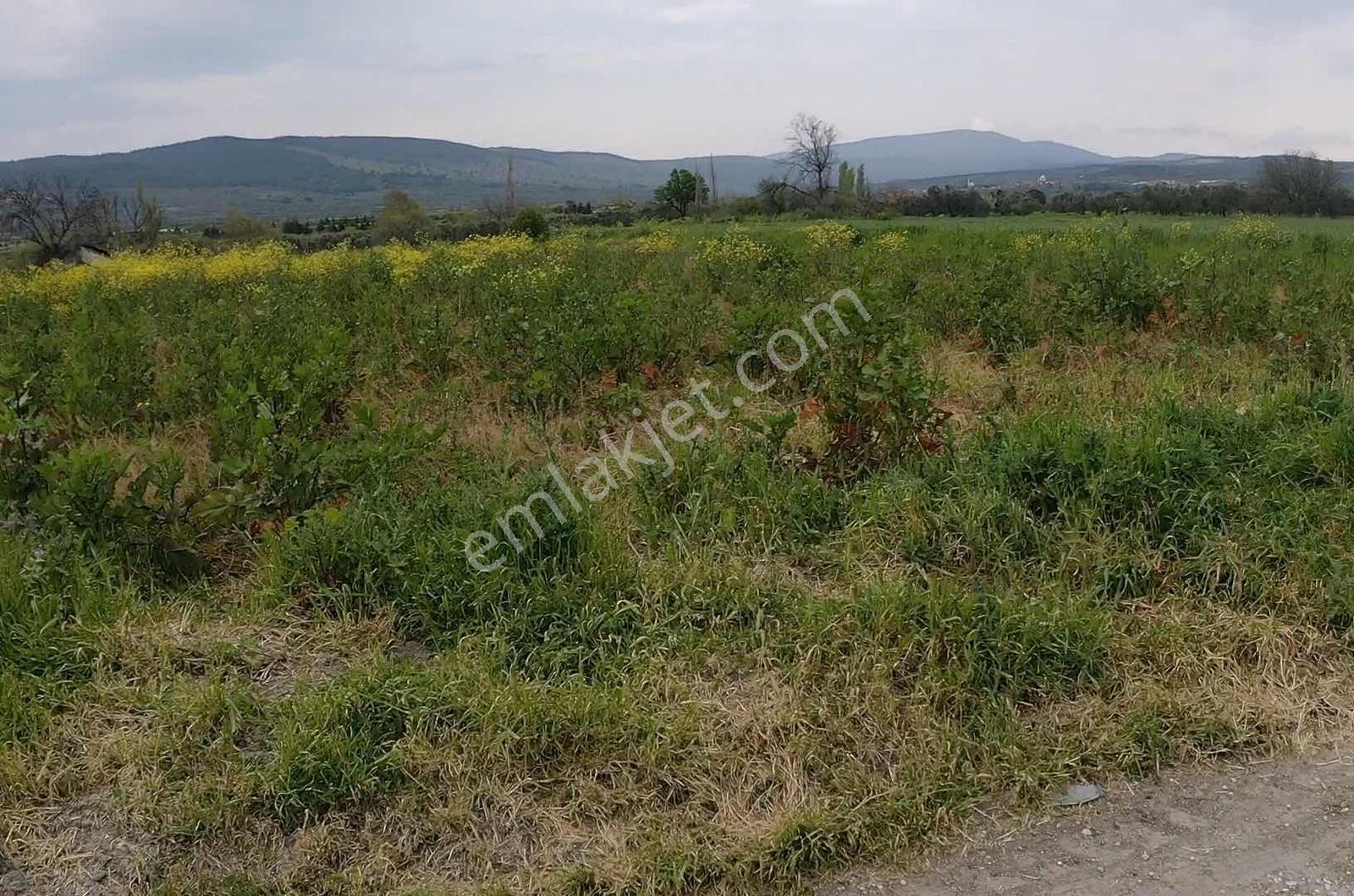 Manisa / Gelenbede Satılık İmarlı Arsa Yatırımlık Fırsat! — fotoğraf 14