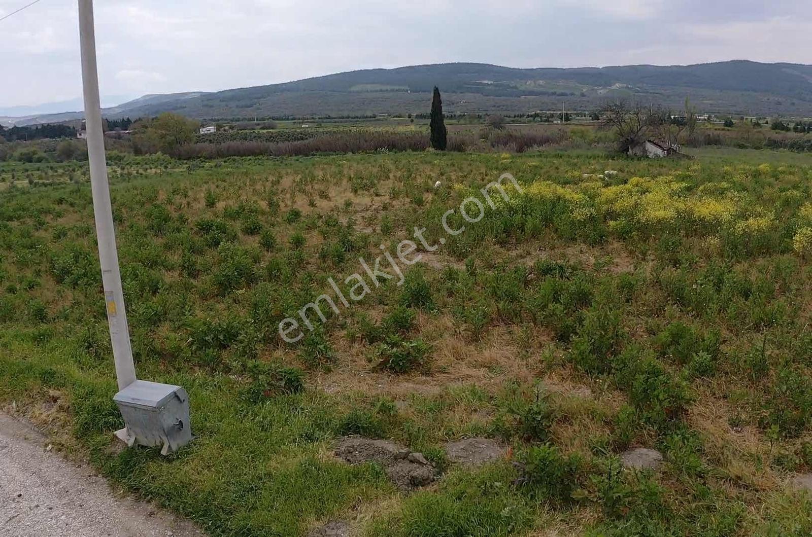Manisa / Gelenbede Satılık İmarlı Arsa Yatırımlık Fırsat! — fotoğraf 16