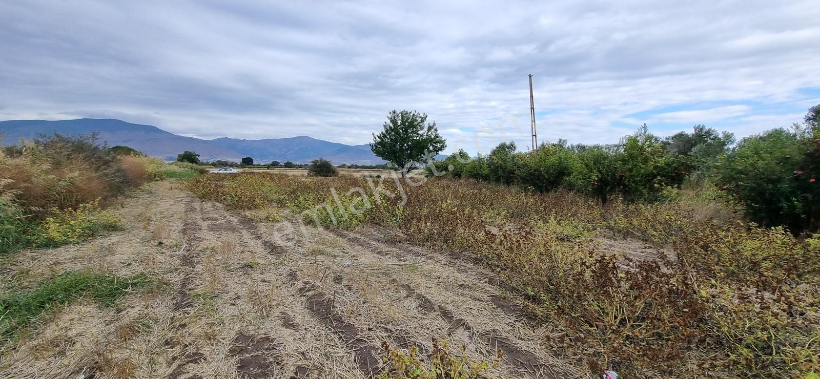 Foça Yolu Üzeri 271M2 Hisseli Tapu Çok İyi Konumda Yatırımlık