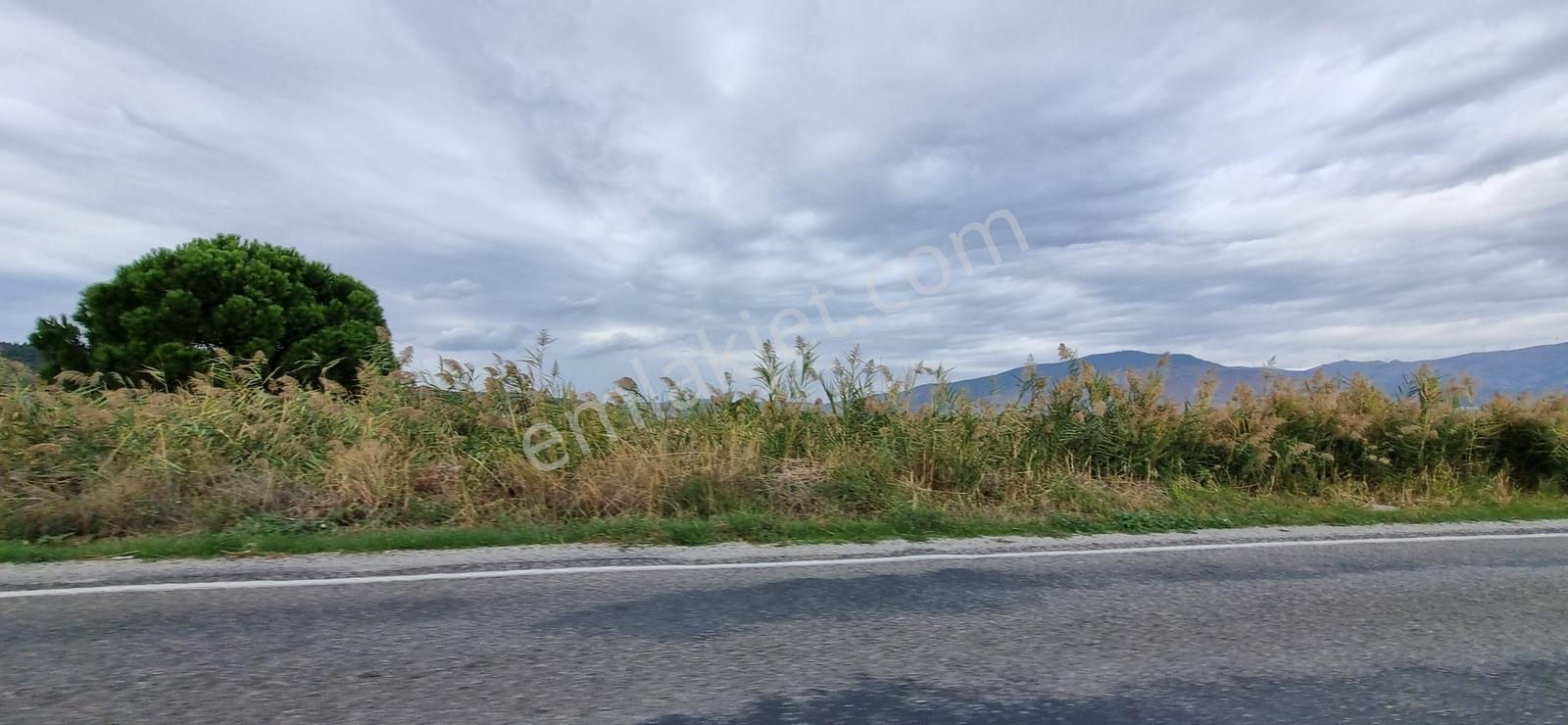 Foça Yolu Üzeri 271m2 Hisseli Tapu Çok İyi Konumda Yatırımlık — fotoğraf 4