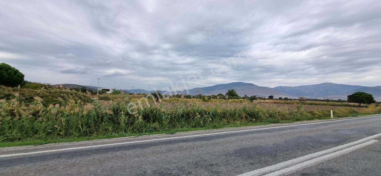 Foça Yolu Üzeri 271m2 Hisseli Tapu Çok İyi Konumda Yatırımlık — fotoğraf 5