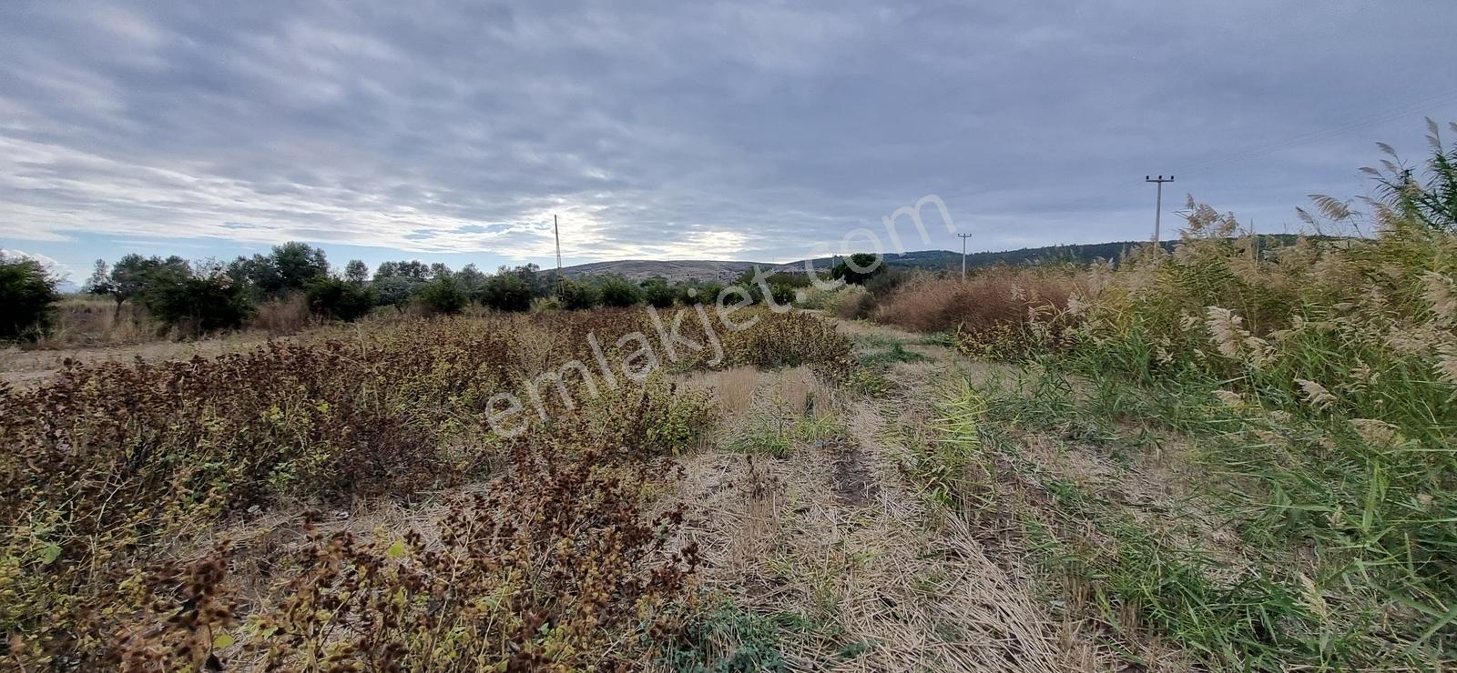 Foça Yolu Üzeri 271m2 Hisseli Tapu Çok İyi Konumda Yatırımlık — fotoğraf 8