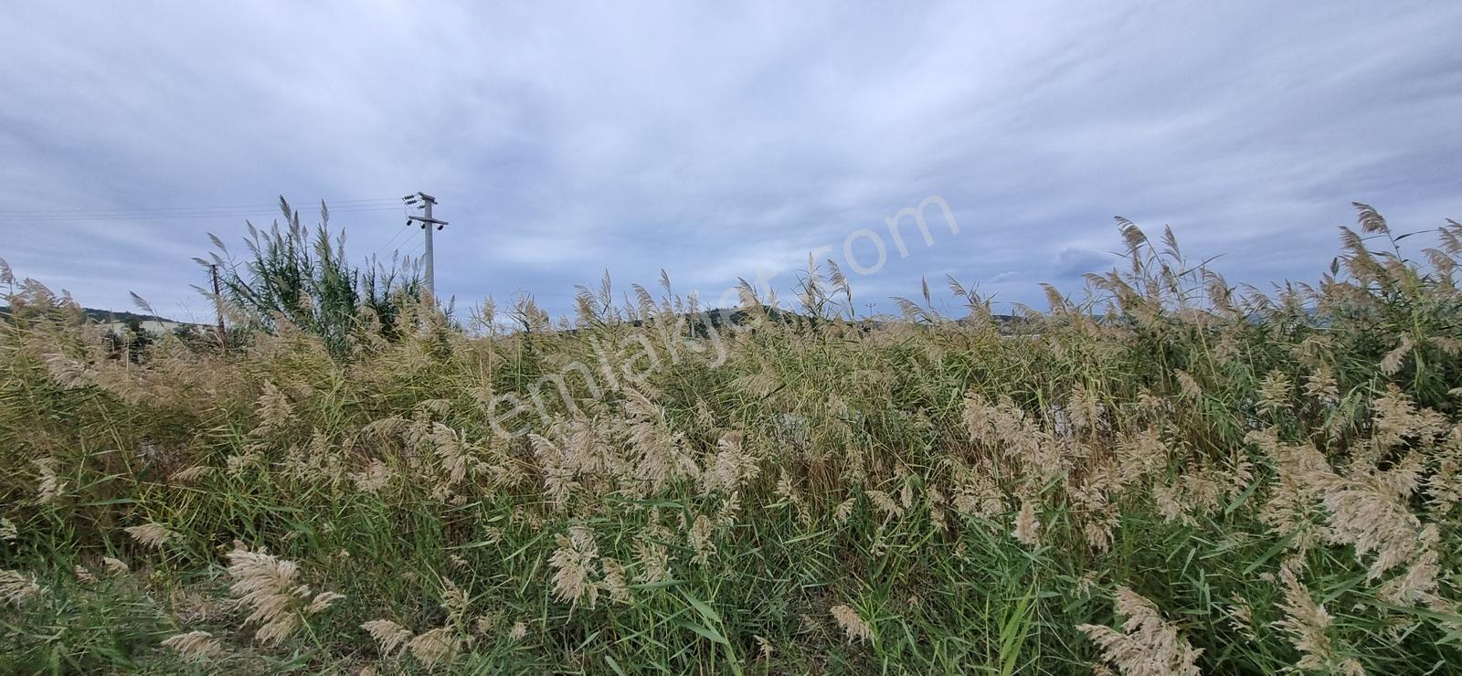 Foça Yolu Üzeri 271m2 Hisseli Tapu Çok İyi Konumda Yatırımlık — fotoğraf 9