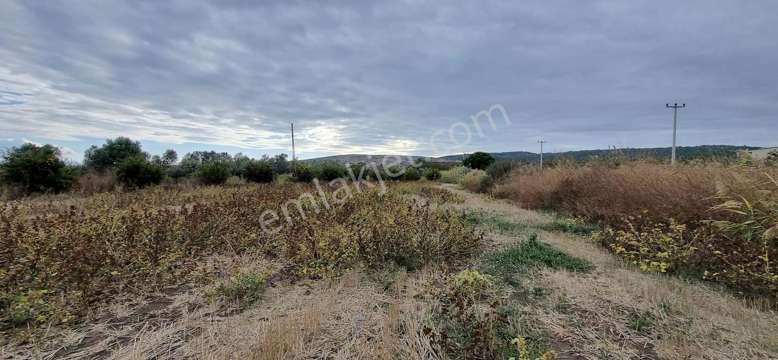Foça Yolu Üzeri 271m2 Hisseli Tapu Çok İyi Konumda Yatırımlık — fotoğraf 10