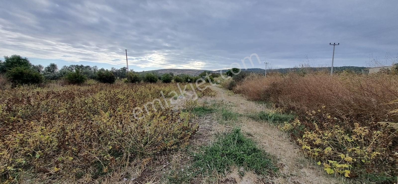 Foça Yolu Üzeri 271m2 Hisseli Tapu Çok İyi Konumda Yatırımlık — fotoğraf 11