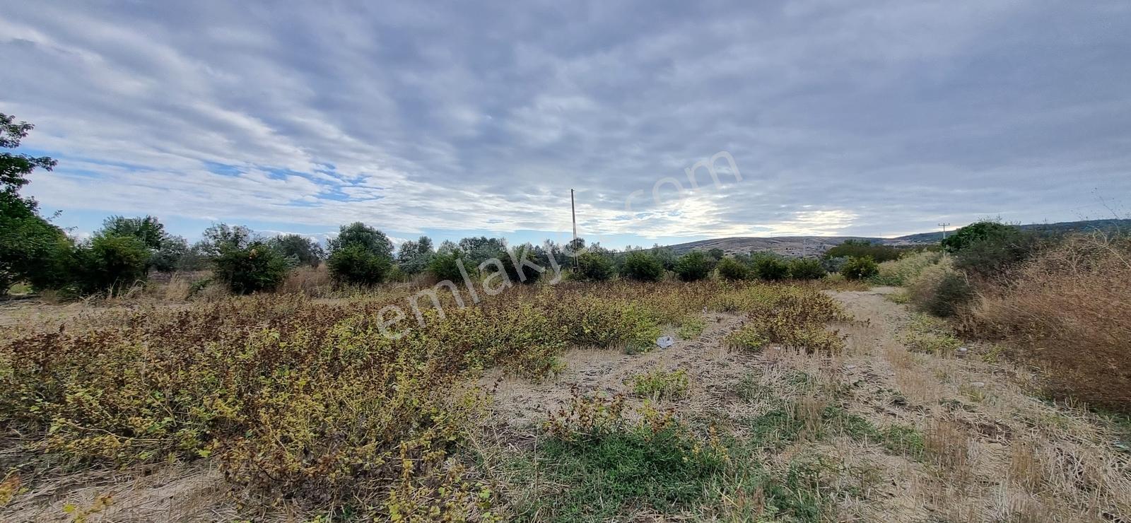 Foça Yolu Üzeri 271m2 Hisseli Tapu Çok İyi Konumda Yatırımlık — fotoğraf 13