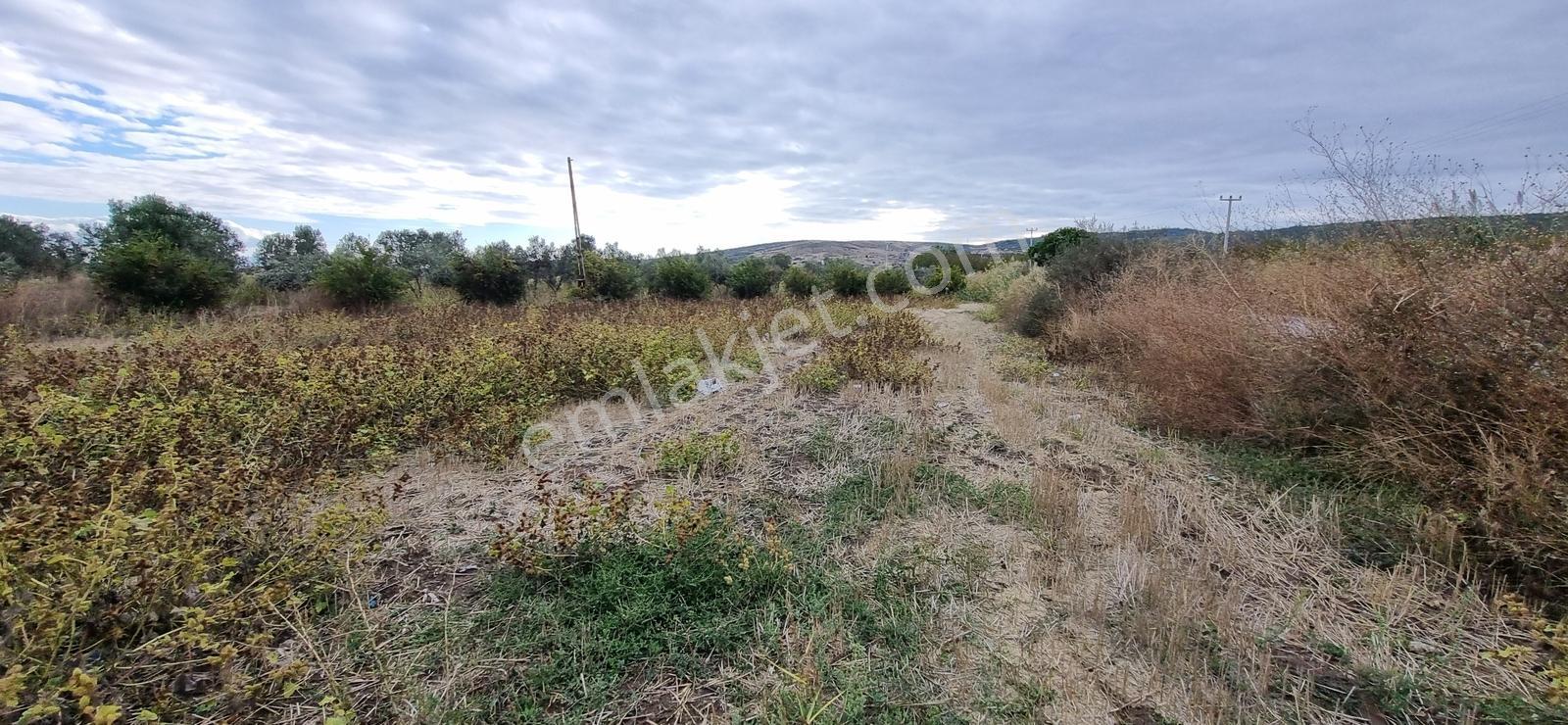 Foça Yolu Üzeri 271m2 Hisseli Tapu Çok İyi Konumda Yatırımlık — fotoğraf 14