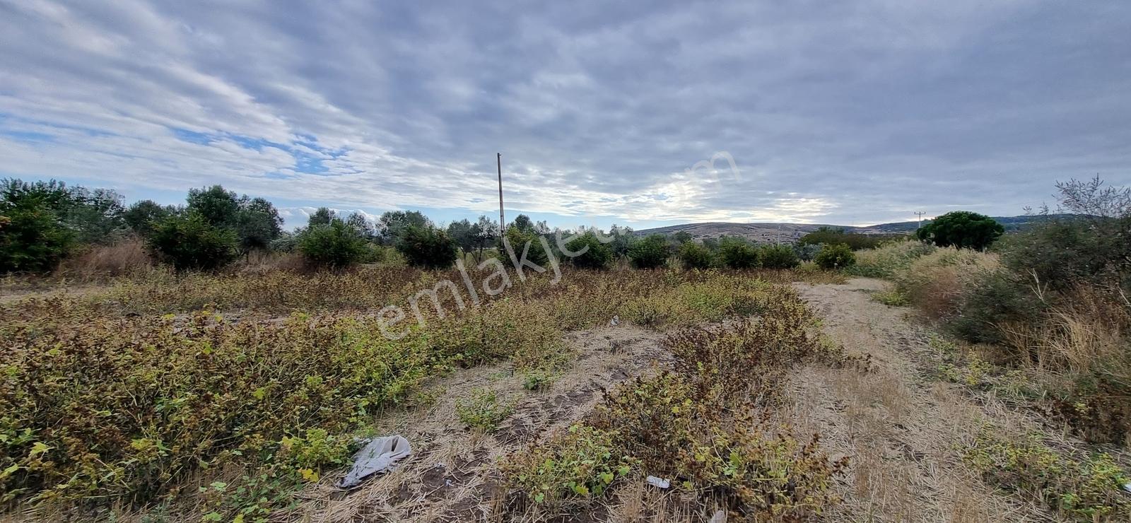 Foça Yolu Üzeri 271m2 Hisseli Tapu Çok İyi Konumda Yatırımlık — fotoğraf 16