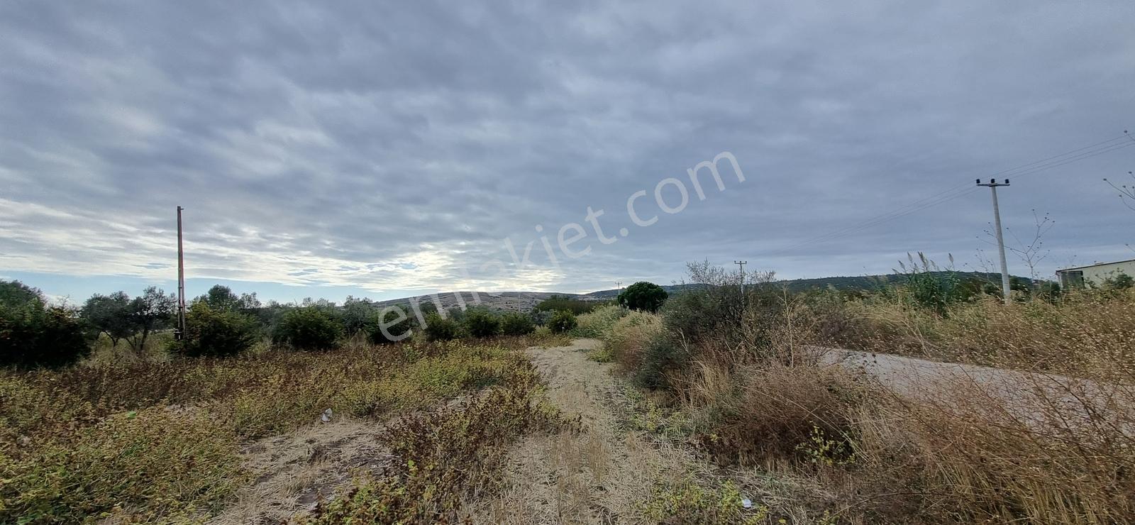 Foça Yolu Üzeri 271m2 Hisseli Tapu Çok İyi Konumda Yatırımlık — fotoğraf 17