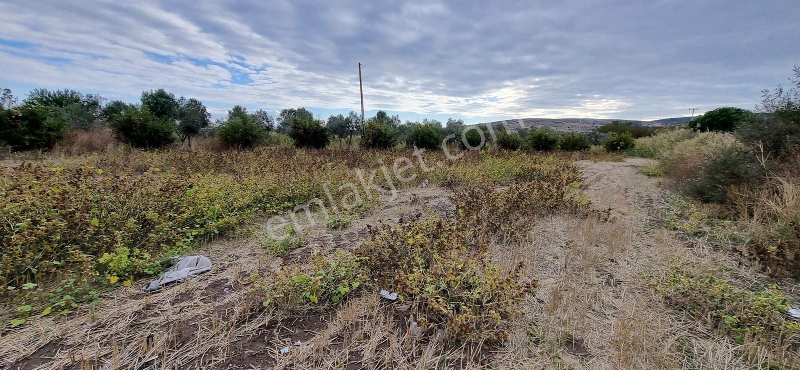 Foça Yolu Üzeri 271m2 Hisseli Tapu Çok İyi Konumda Yatırımlık — fotoğraf 18