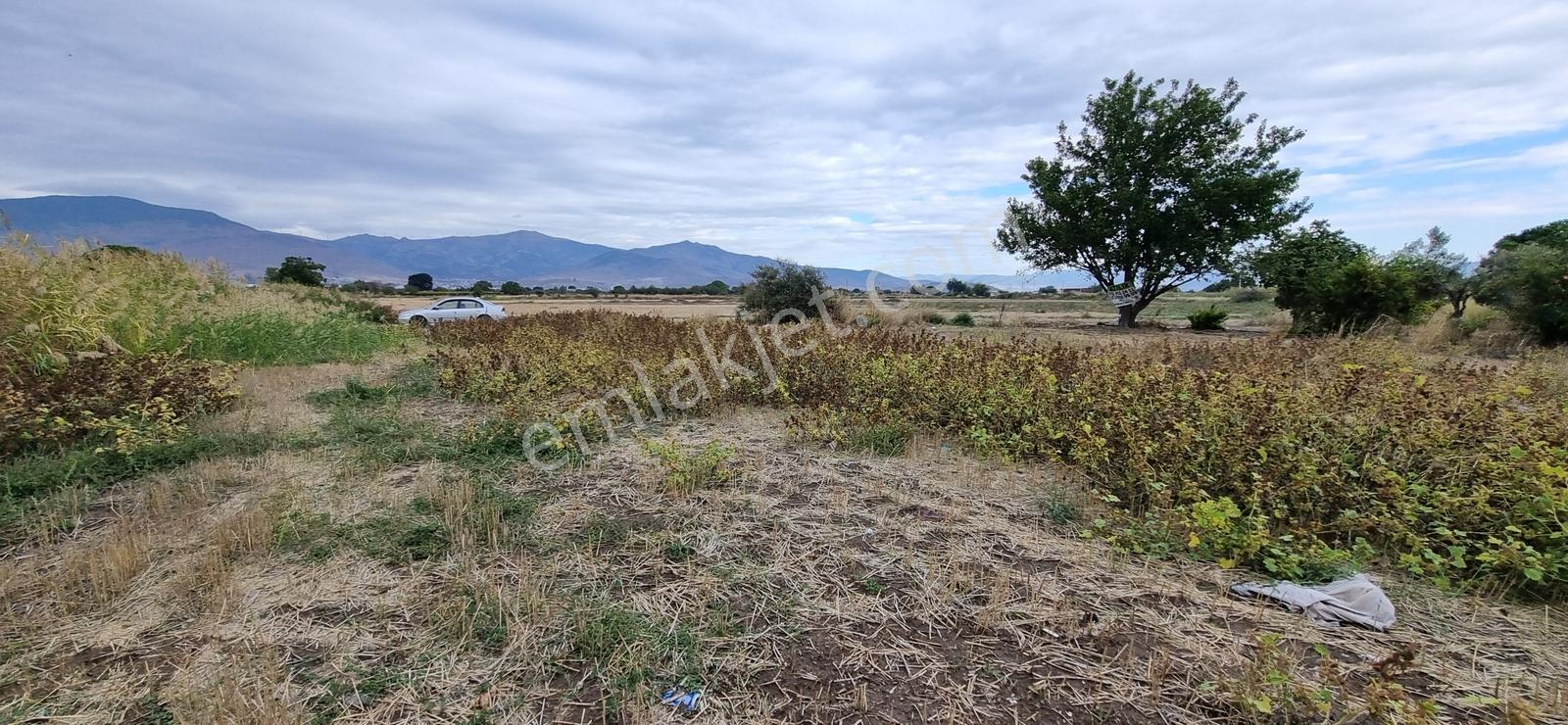 Foça Yolu Üzeri 271m2 Hisseli Tapu Çok İyi Konumda Yatırımlık — fotoğraf 19