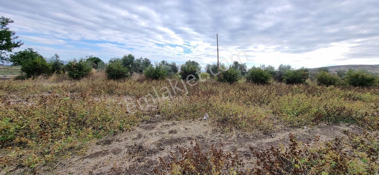 Foça Yolu Üzeri 271m2 Hisseli Tapu Çok İyi Konumda Yatırımlık — fotoğraf 21