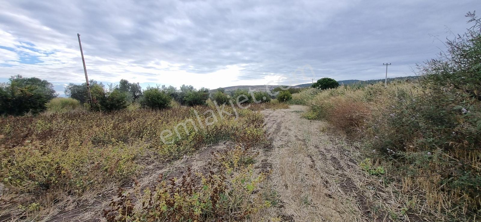 Foça Yolu Üzeri 271m2 Hisseli Tapu Çok İyi Konumda Yatırımlık — fotoğraf 22
