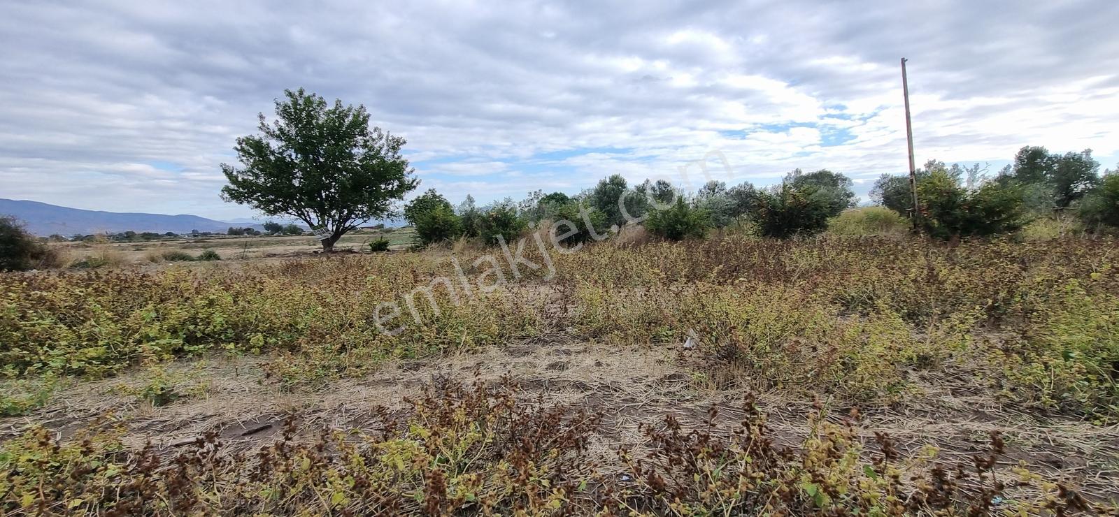 Foça Yolu Üzeri 271m2 Hisseli Tapu Çok İyi Konumda Yatırımlık — fotoğraf 23