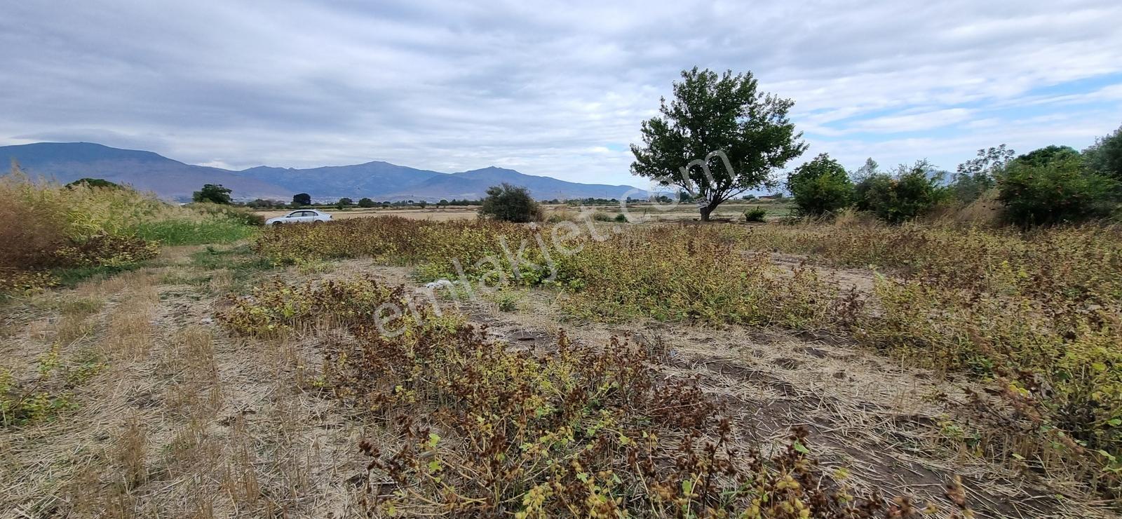 Foça Yolu Üzeri 271m2 Hisseli Tapu Çok İyi Konumda Yatırımlık — fotoğraf 24