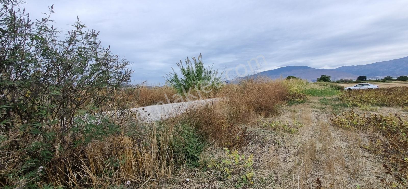 Foça Yolu Üzeri 271m2 Hisseli Tapu Çok İyi Konumda Yatırımlık — fotoğraf 25