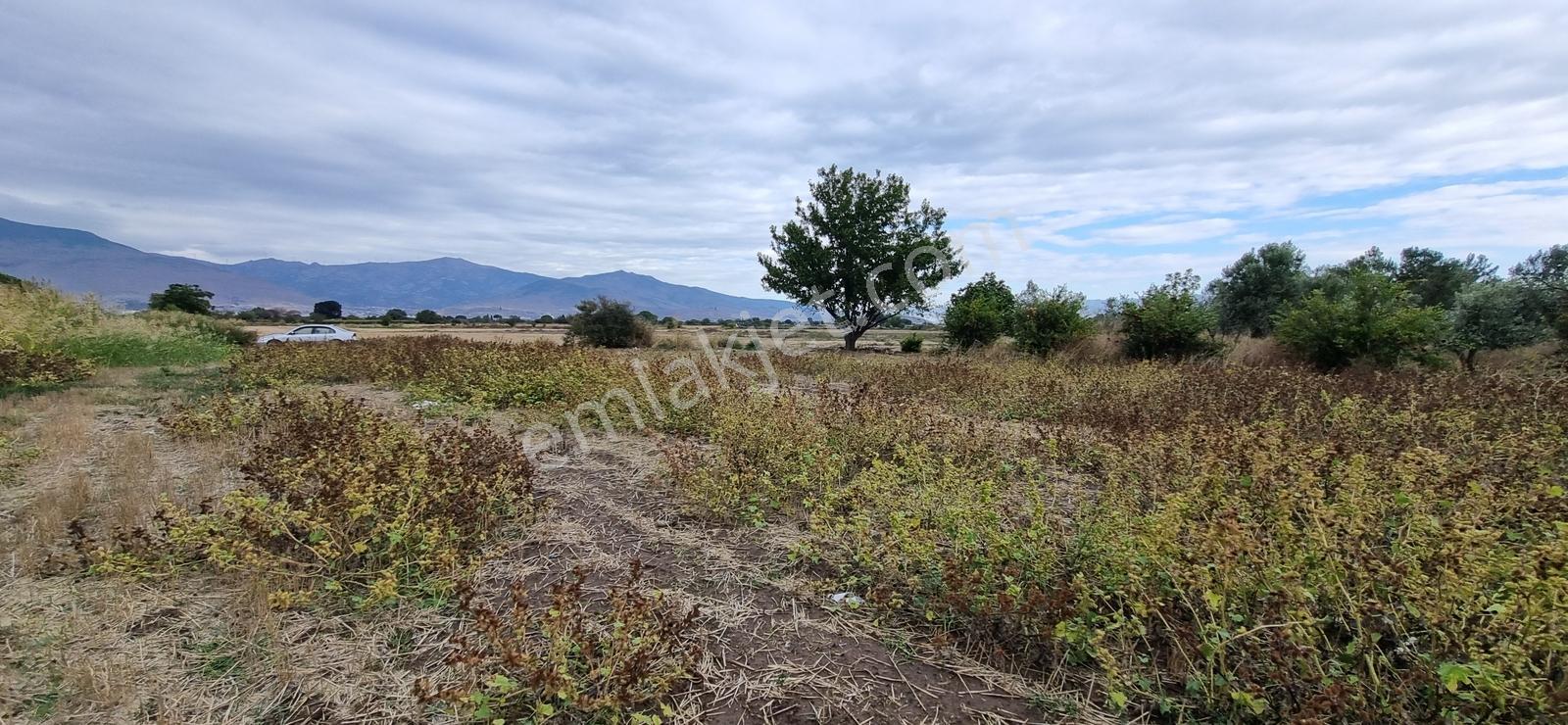 Foça Yolu Üzeri 271m2 Hisseli Tapu Çok İyi Konumda Yatırımlık — fotoğraf 27