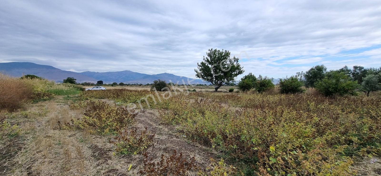 Foça Yolu Üzeri 271m2 Hisseli Tapu Çok İyi Konumda Yatırımlık — fotoğraf 28