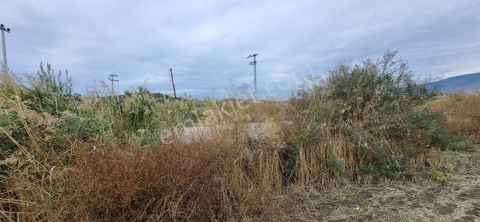 Foça Yolu Üzeri 271m2 Hisseli Tapu Çok İyi Konumda Yatırımlık — fotoğraf 30