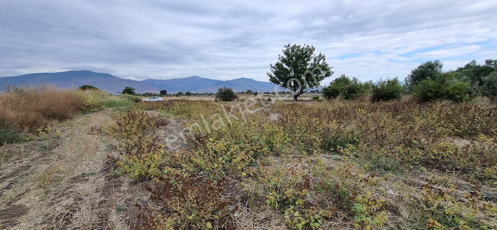 Foça Yolu Üzeri 271m2 Hisseli Tapu Çok İyi Konumda Yatırımlık — fotoğraf 31