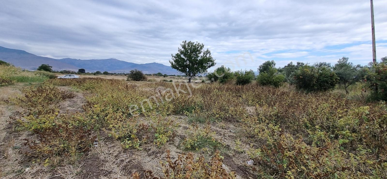 Foça Yolu Üzeri 271m2 Hisseli Tapu Çok İyi Konumda Yatırımlık — fotoğraf 32
