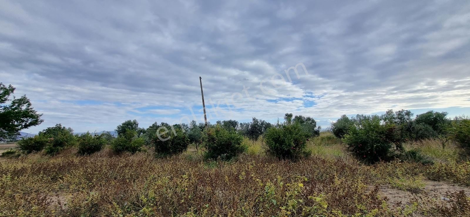 Foça Yolu Üzeri 271m2 Hisseli Tapu Çok İyi Konumda Yatırımlık — fotoğraf 33