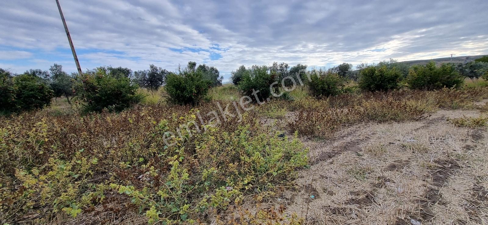 Foça Yolu Üzeri 271m2 Hisseli Tapu Çok İyi Konumda Yatırımlık — fotoğraf 34
