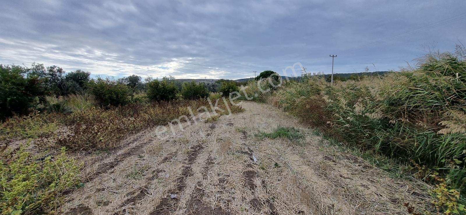 Foça Yolu Üzeri 271m2 Hisseli Tapu Çok İyi Konumda Yatırımlık — fotoğraf 35
