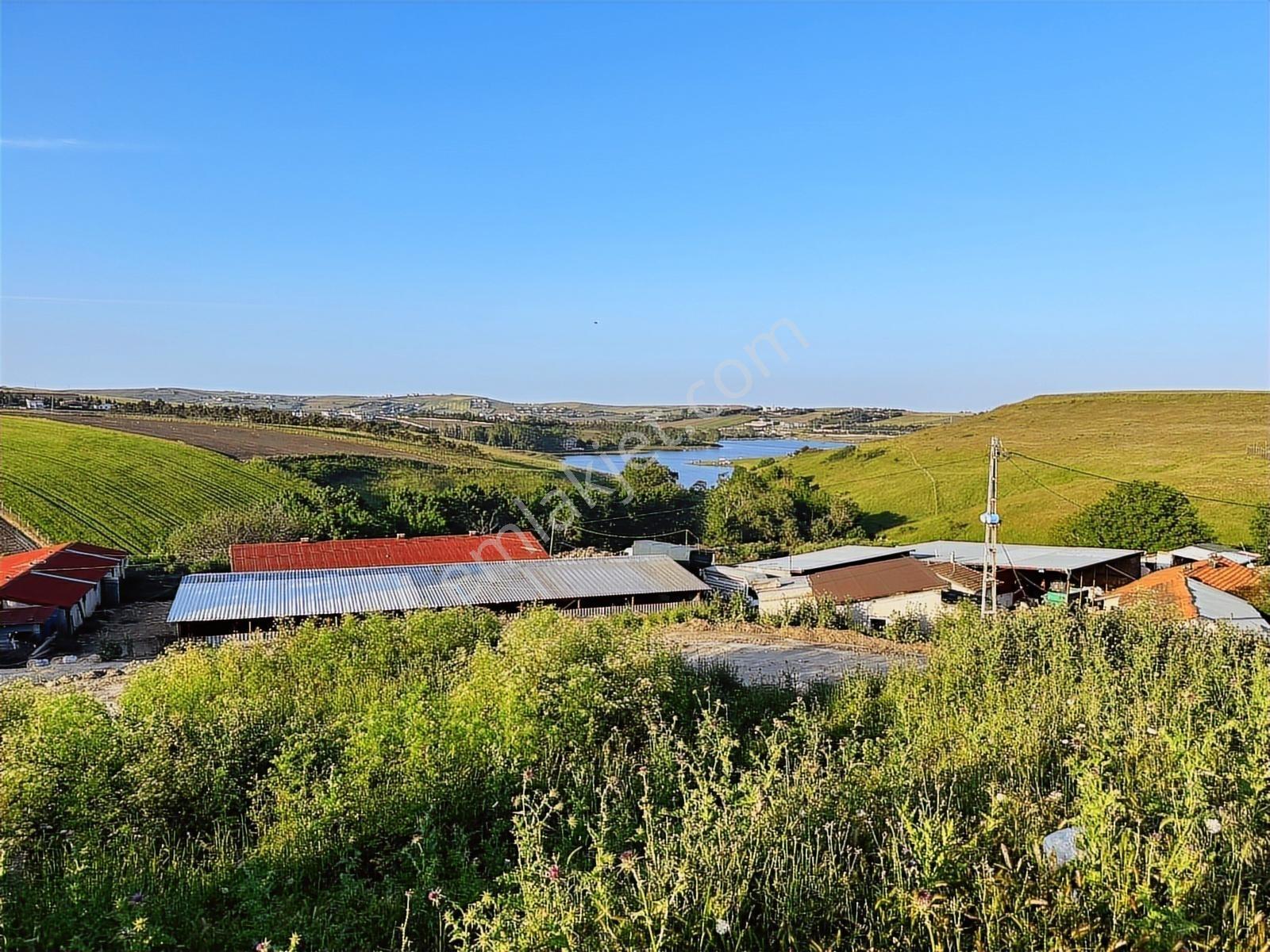 Büyükçekmece Kamiloba 12125 M2 Satılık Müstakil İmara Yakın Arsa