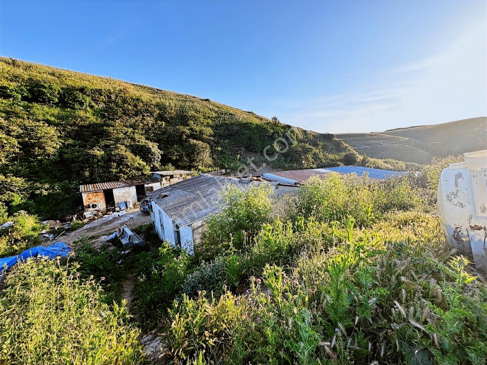 Büyükçekmece Kamiloba 12125 M2 Satılık Müstakil İmara Yakın Arsa — fotoğraf 5