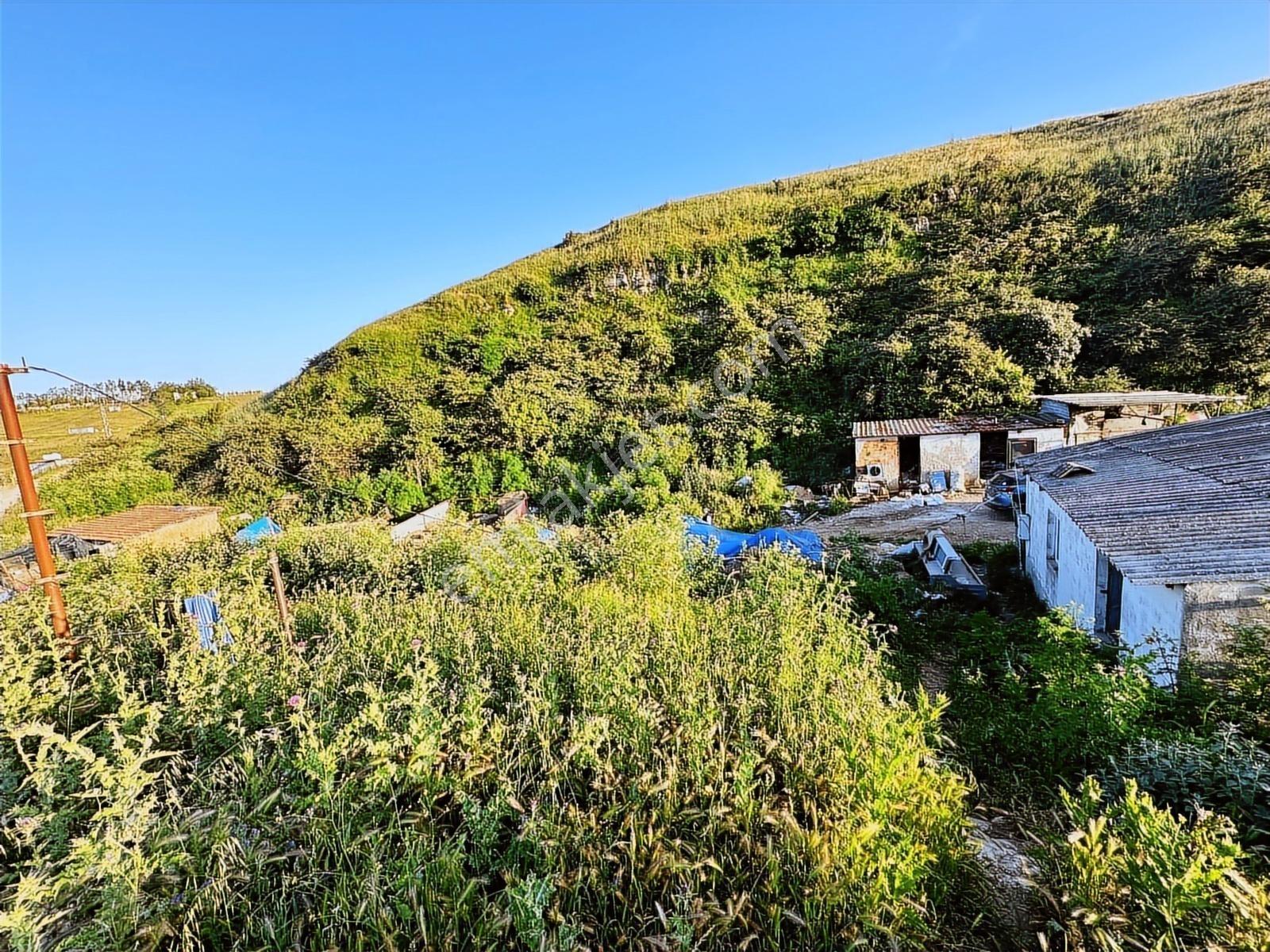 Büyükçekmece Kamiloba 12125 M2 Satılık Müstakil İmara Yakın Arsa — fotoğraf 7