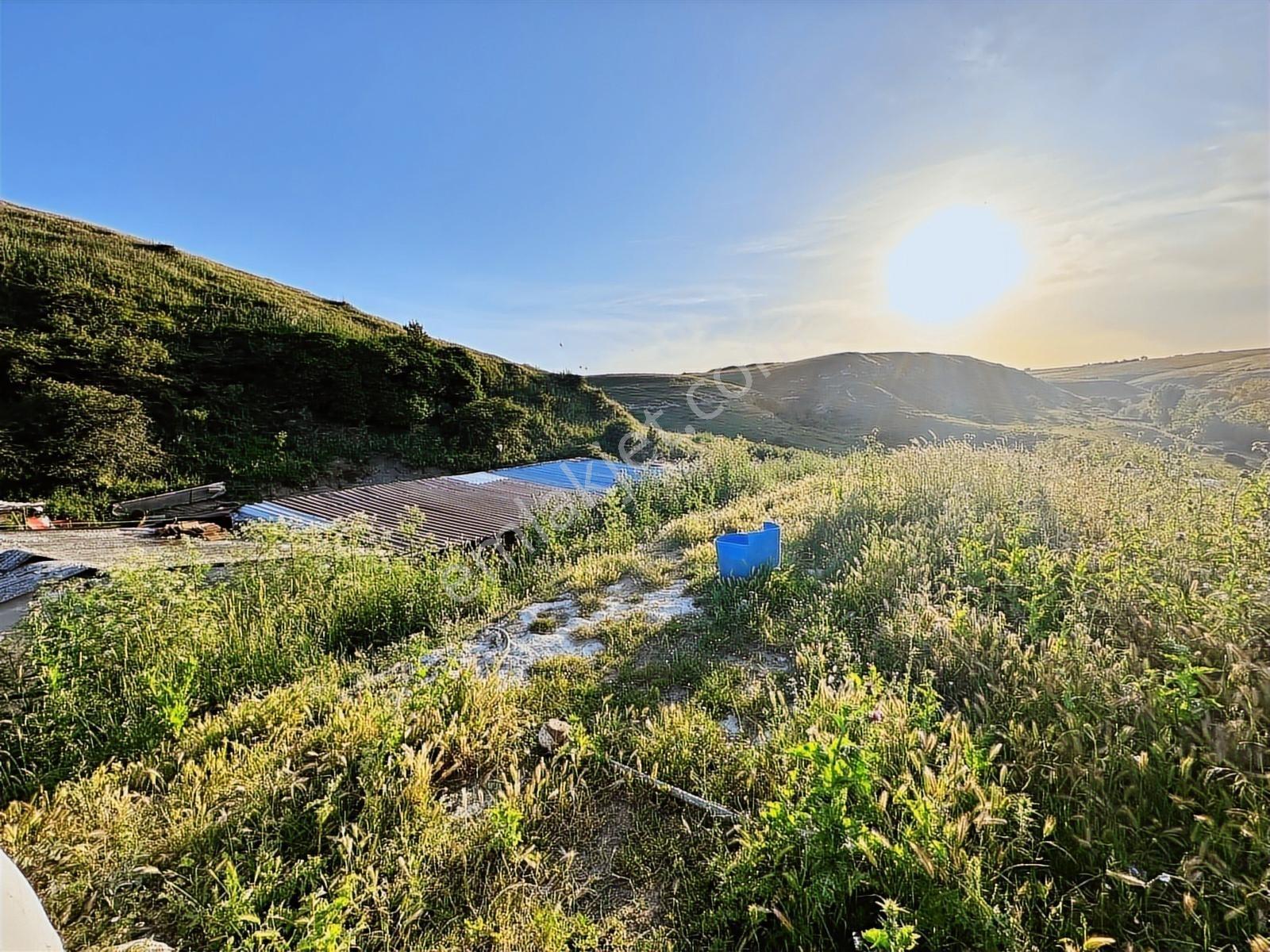 Büyükçekmece Kamiloba 12125 M2 Satılık Müstakil İmara Yakın Arsa — fotoğraf 8