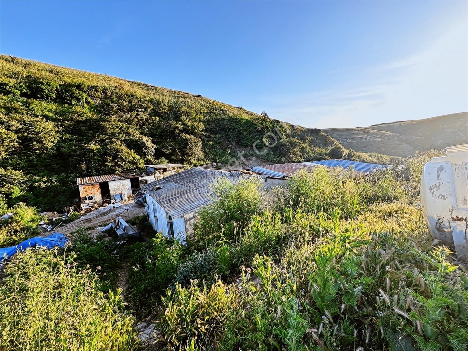 Büyükçekmece Kamiloba 12125 M2 Satılık Müstakil İmara Yakın Arsa — fotoğraf 15