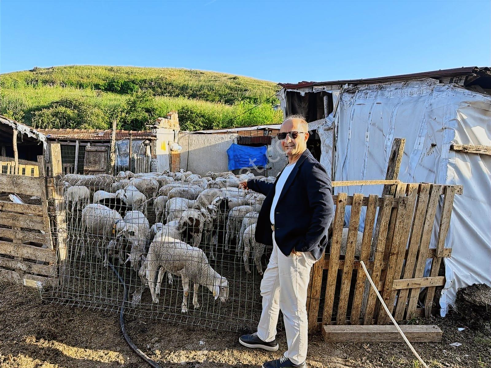 Büyükçekmece Kamiloba 12125 M2 Satılık Müstakil İmara Yakın Arsa — fotoğraf 17