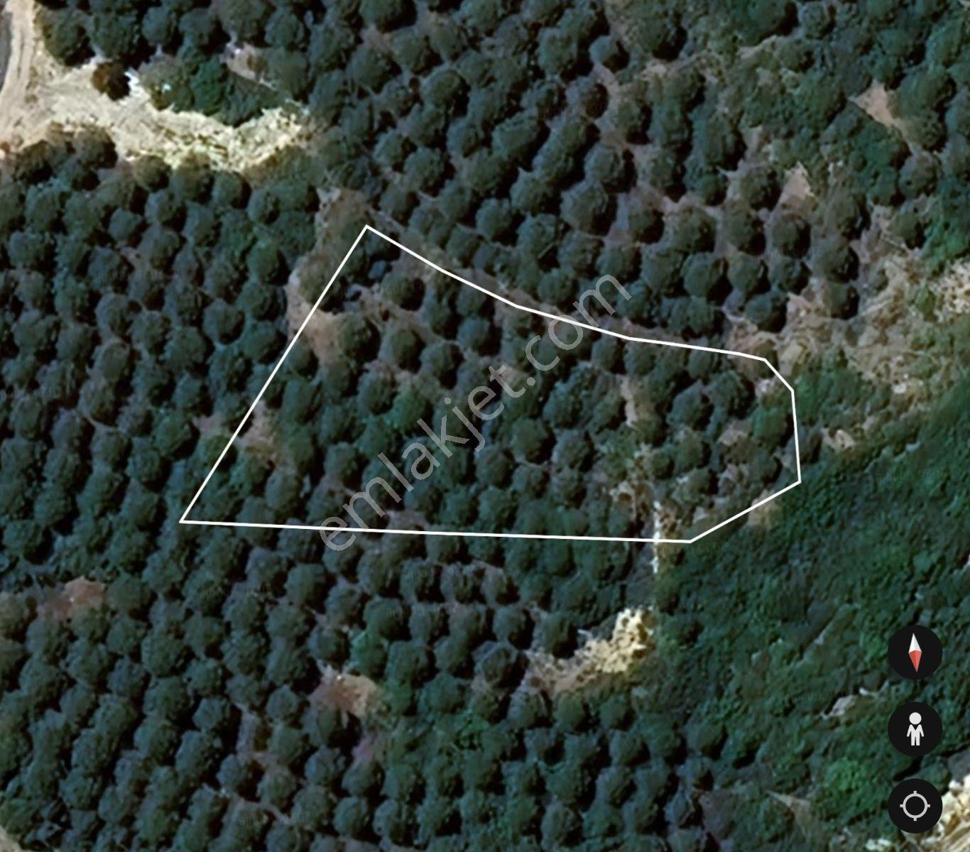 Bozcaada Alaybey'de 2.123 M² Satılık Arsa — fotoğraf 7