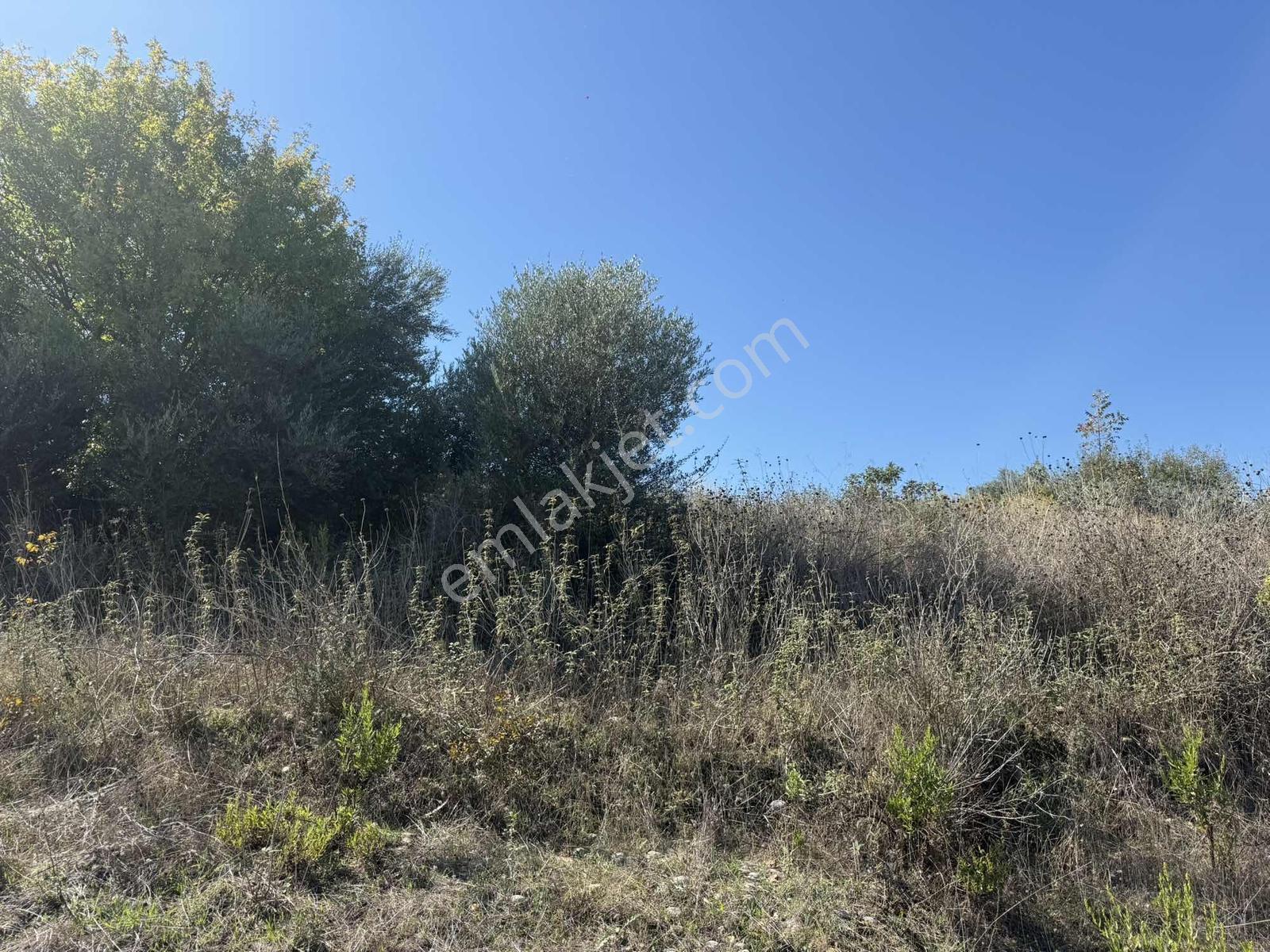 Manavgat Evrenseki Mahallesi'nde 659 M2 Satılık Arsa — fotoğraf 3
