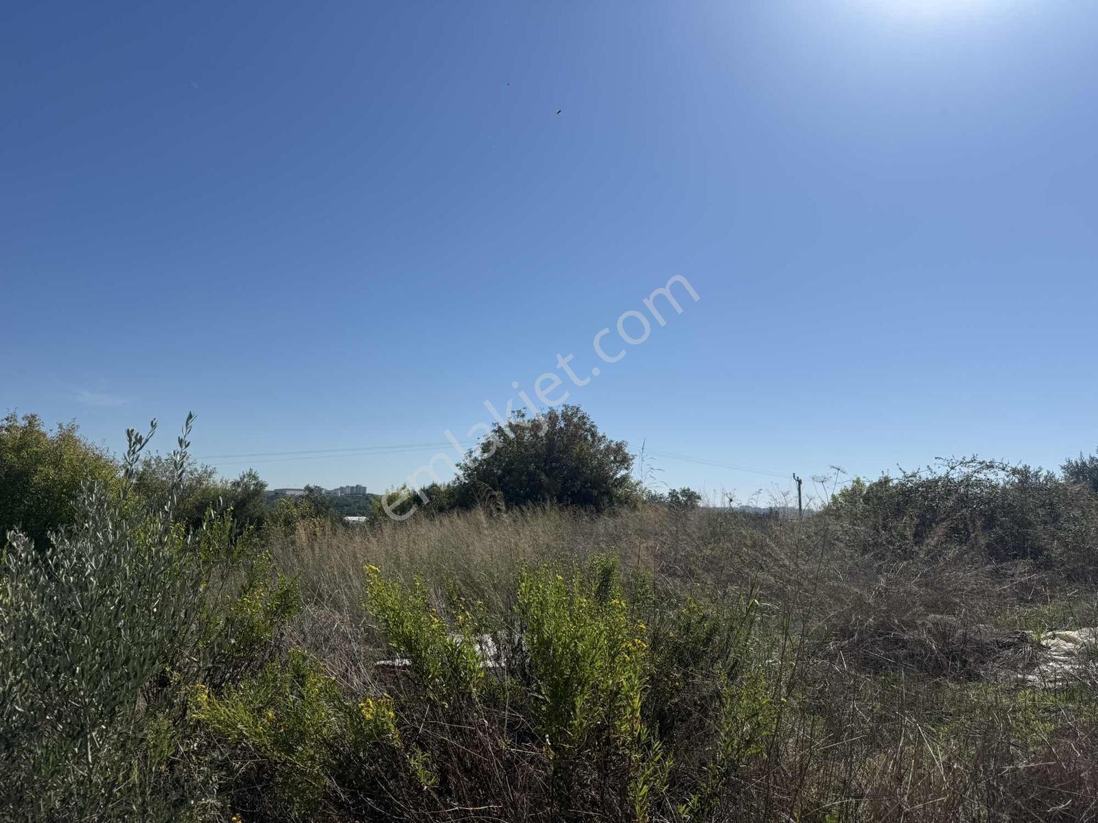 Manavgat Evrenseki Mahallesi'nde 659 M2 Satılık Arsa — fotoğraf 6