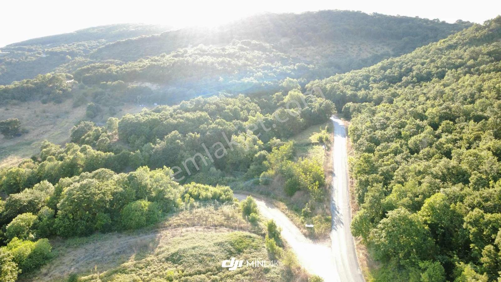Bakacak Barajında Satılık Hobi Bahçesi — fotoğraf 17