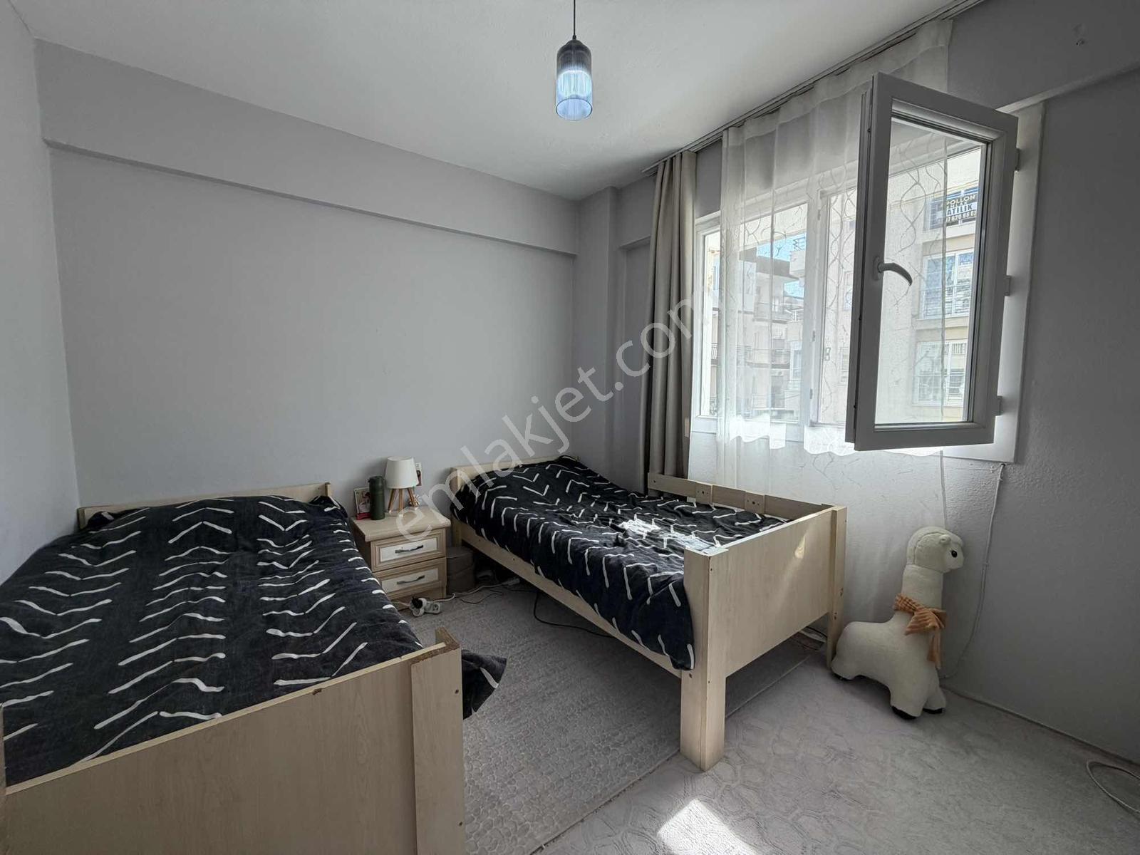 Merkezi Konum Geniş Daire — fotoğraf 10