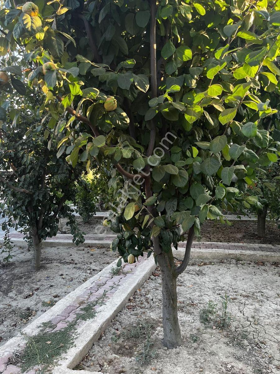 Antalya'ya Yakın 500m² Arsada Full Donanımlı Takaslı Villa — fotoğraf 14