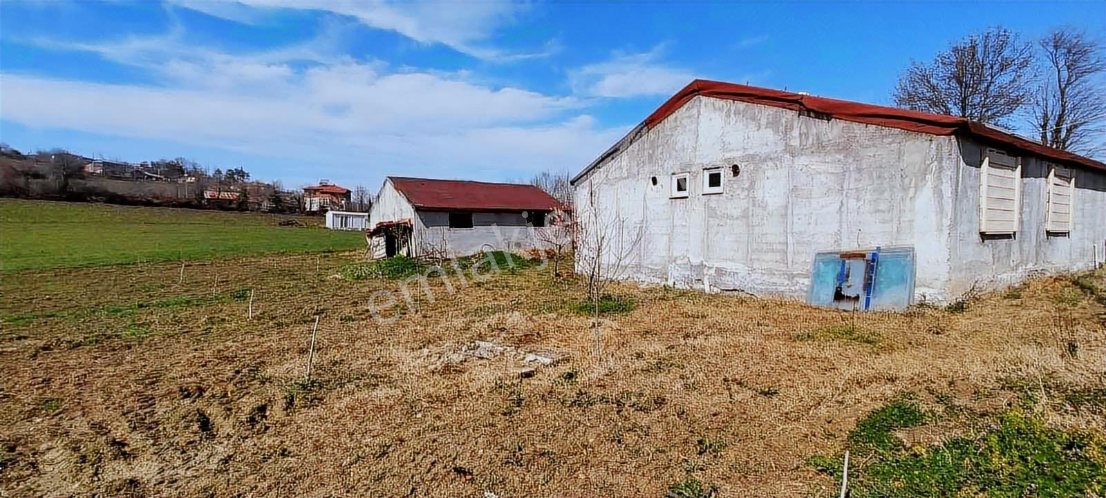 Mavi Atlas'tan Samsun Alaçam'da Satılık Müstakil Ev — fotoğraf 5