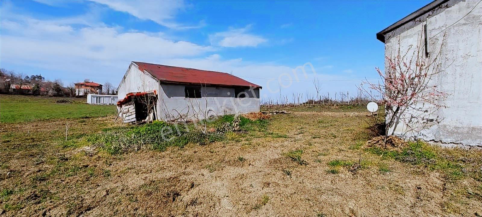 Mavi Atlas'tan Samsun Alaçam'da Satılık Müstakil Ev — fotoğraf 18