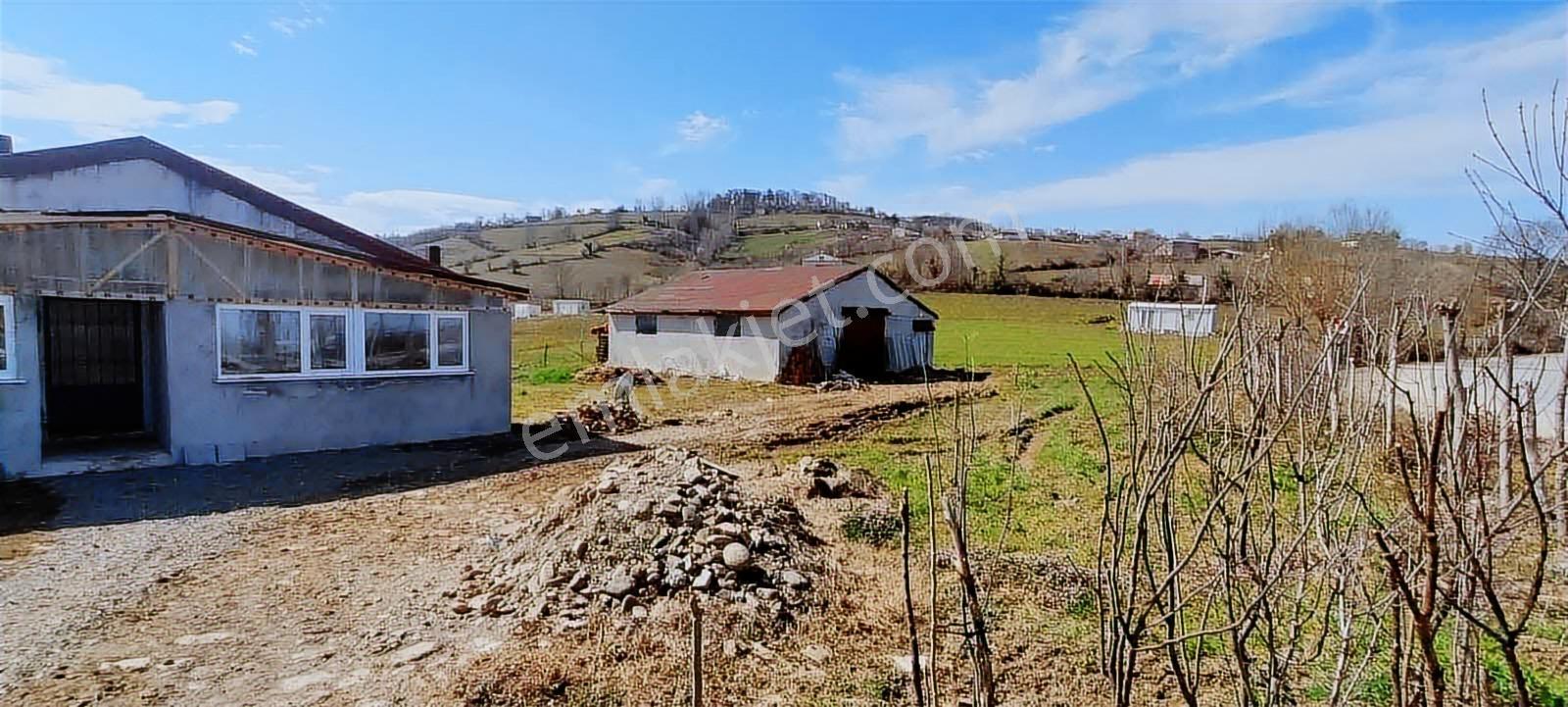 Mavi Atlas'tan Samsun Alaçam'da Satılık Müstakil Ev — fotoğraf 21