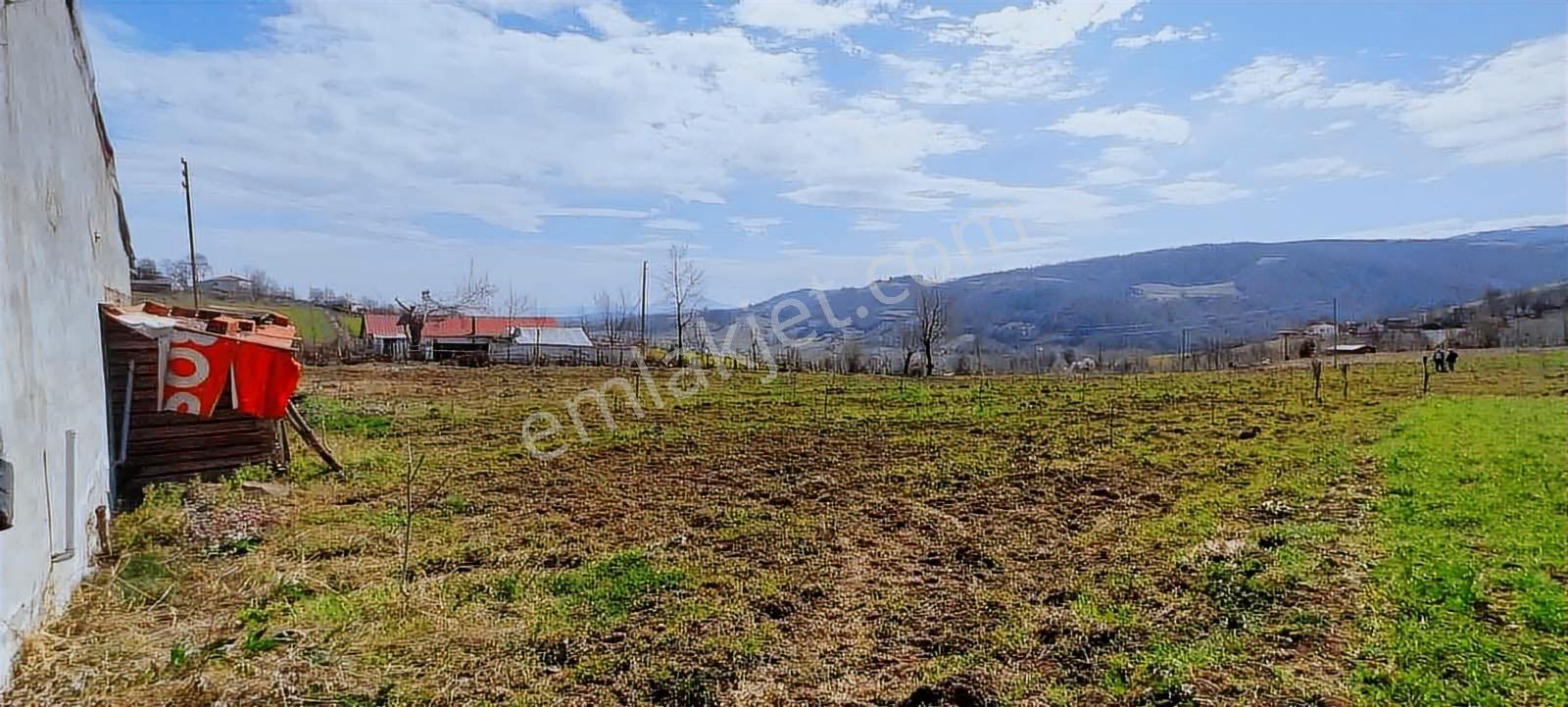 Mavi Atlas'tan Samsun Alaçam'da Satılık Müstakil Ev — fotoğraf 23
